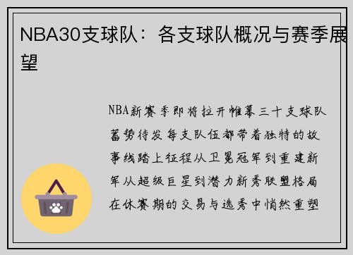 NBA30支球队：各支球队概况与赛季展望